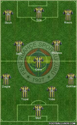 Fenerbahçe SK Formation 2013