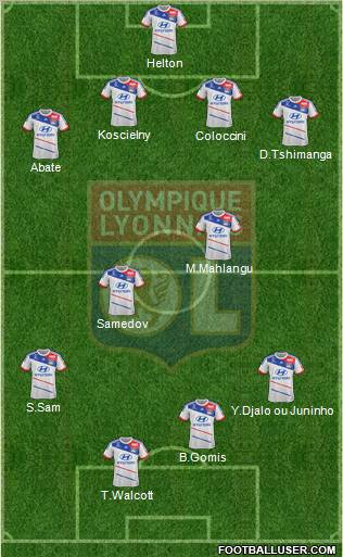 Olympique Lyonnais Formation 2013