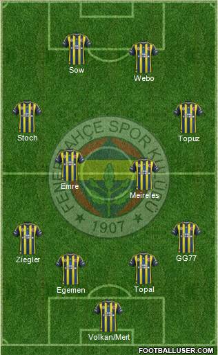 Fenerbahçe SK Formation 2013