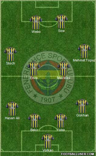 Fenerbahçe SK Formation 2013