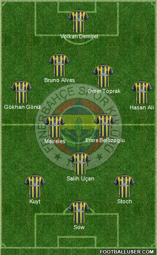 Fenerbahçe SK Formation 2013
