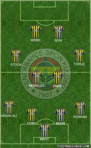 Fenerbahçe SK Formation 2013