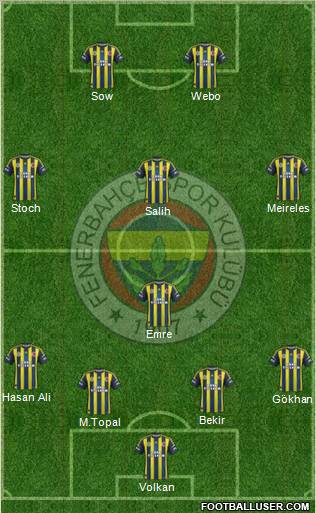 Fenerbahçe SK Formation 2013