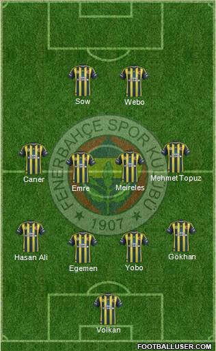 Fenerbahçe SK Formation 2013