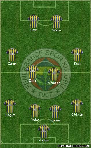 Fenerbahçe SK Formation 2013