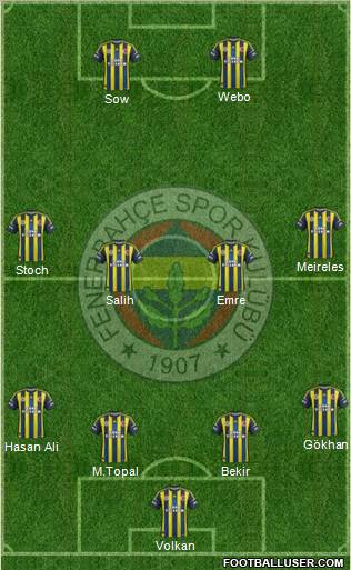 Fenerbahçe SK Formation 2013