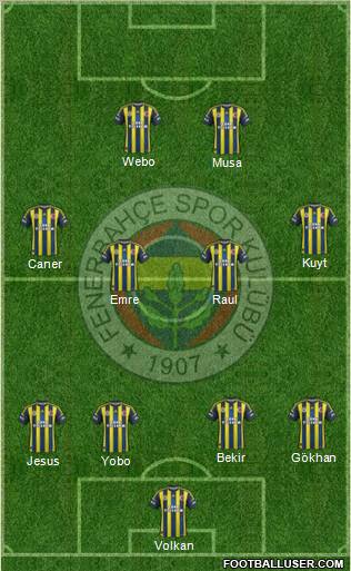 Fenerbahçe SK Formation 2013