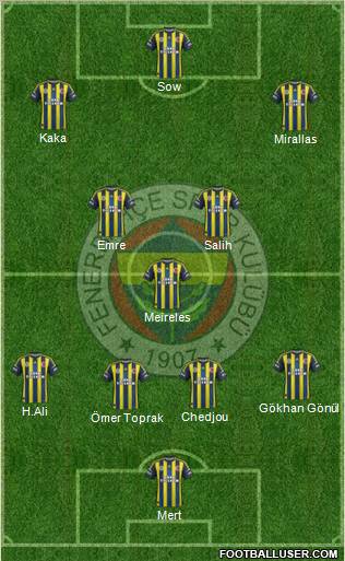Fenerbahçe SK Formation 2013