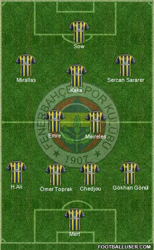 Fenerbahçe SK Formation 2013