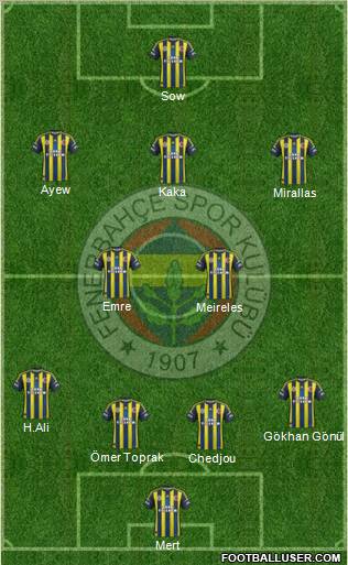 Fenerbahçe SK Formation 2013