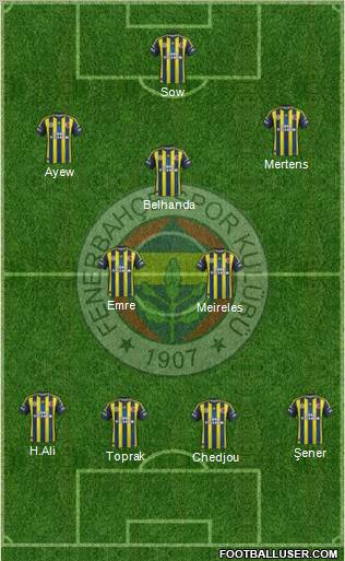 Fenerbahçe SK Formation 2013