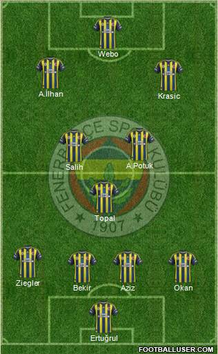 Fenerbahçe SK Formation 2013