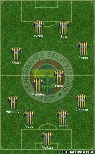 Fenerbahçe SK Formation 2013