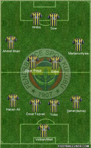 Fenerbahçe SK Formation 2013