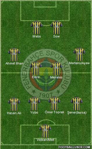 Fenerbahçe SK Formation 2013