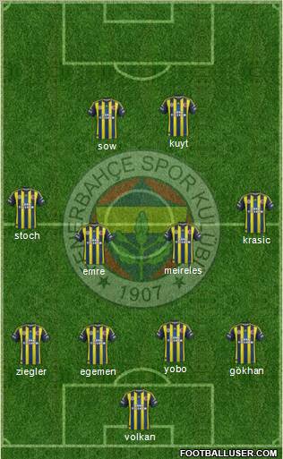 Fenerbahçe SK Formation 2013
