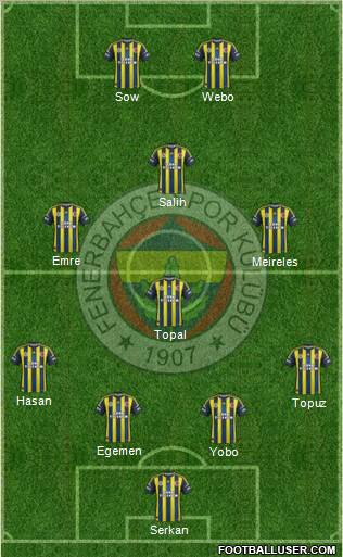 Fenerbahçe SK Formation 2013