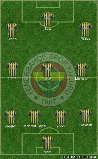 Fenerbahçe SK Formation 2013