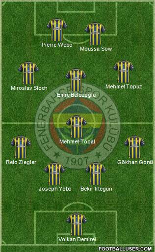 Fenerbahçe SK Formation 2013