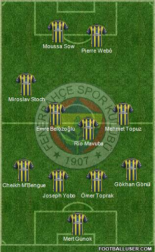 Fenerbahçe SK Formation 2013