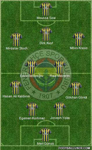 Fenerbahçe SK Formation 2013