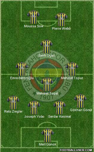 Fenerbahçe SK Formation 2013