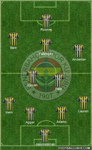 Fenerbahçe SK Formation 2013