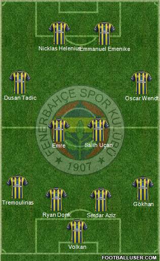 Fenerbahçe SK Formation 2013