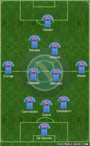Napoli Formation 2013