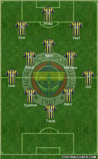 Fenerbahçe SK Formation 2013
