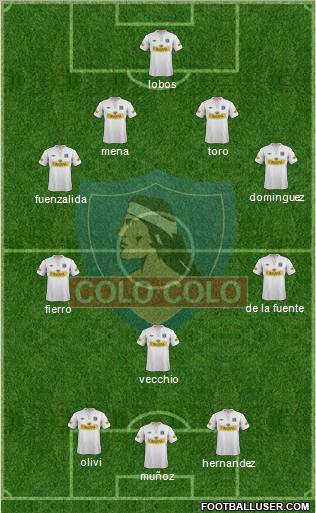 CSD Colo Colo Formation 2013