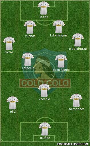 CSD Colo Colo Formation 2013