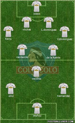 CSD Colo Colo Formation 2013