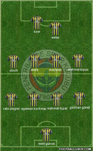 Fenerbahçe SK Formation 2013