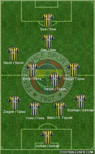 Fenerbahçe SK Formation 2013