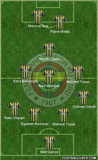 Fenerbahçe SK Formation 2013