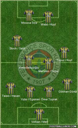 Fenerbahçe SK Formation 2013