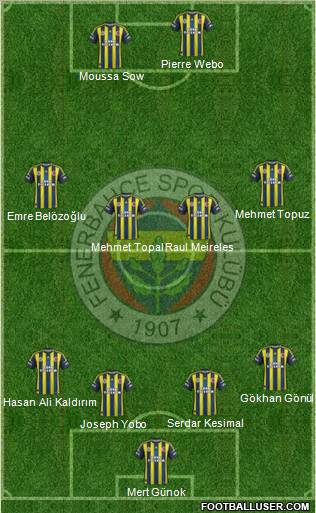 Fenerbahçe SK Formation 2013