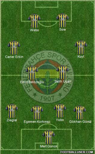 Fenerbahçe SK Formation 2013