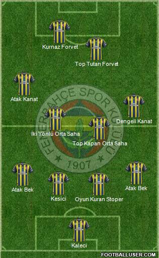 Fenerbahçe SK Formation 2013