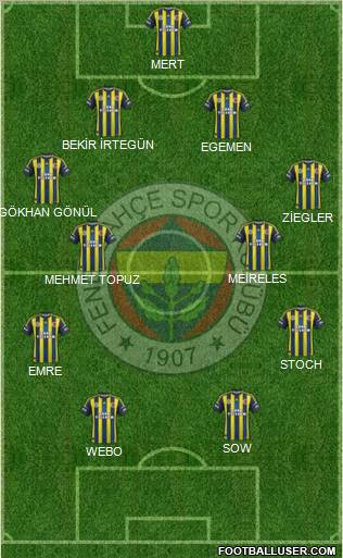 Fenerbahçe SK Formation 2013