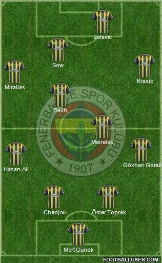 Fenerbahçe SK Formation 2013