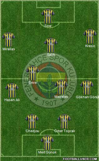 Fenerbahçe SK Formation 2013