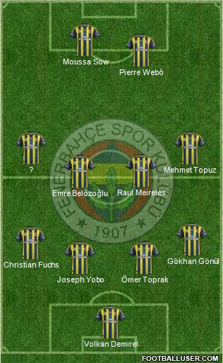 Fenerbahçe SK Formation 2013