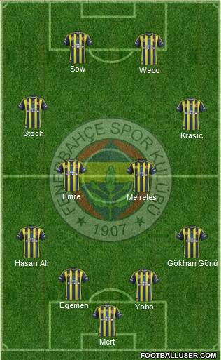 Fenerbahçe SK Formation 2013