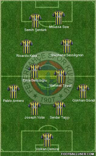 Fenerbahçe SK Formation 2013