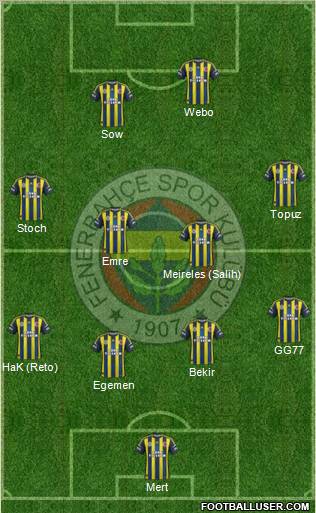 Fenerbahçe SK Formation 2013
