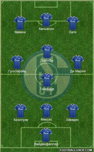 FC Schalke 04 Formation 2013