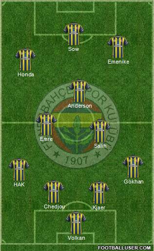 Fenerbahçe SK Formation 2013