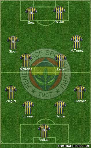 Fenerbahçe SK Formation 2013